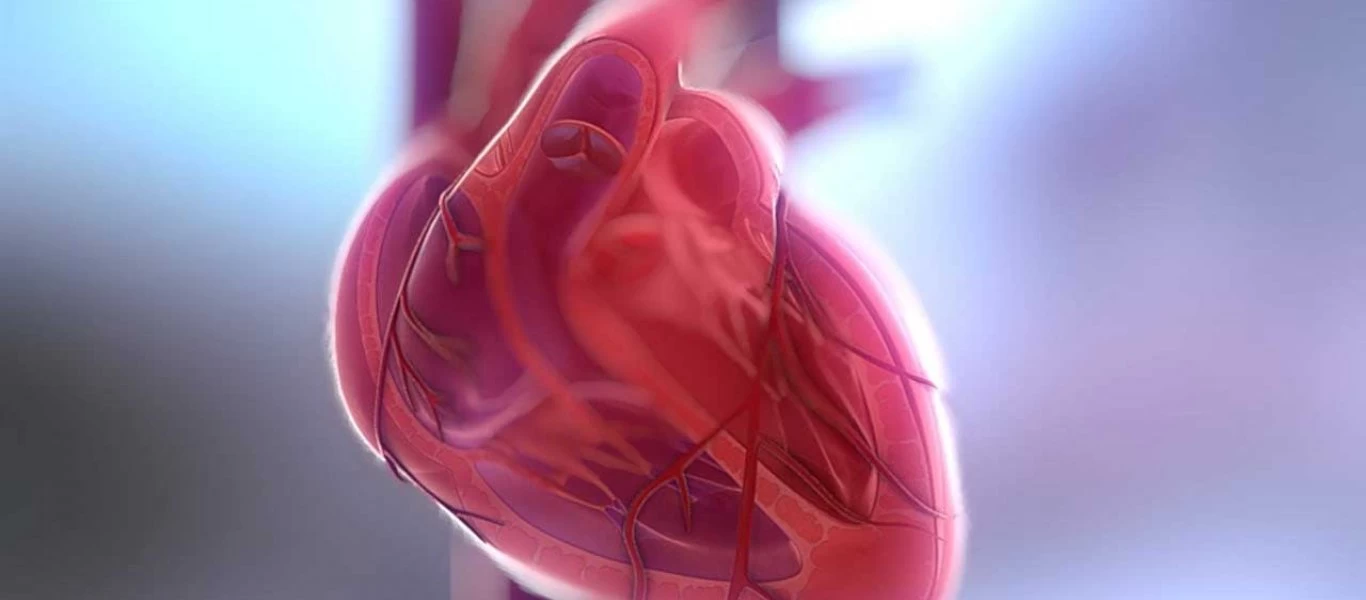 Ήξερες ότι αυτές τις ώρες της ημέρας η καρδιά προσπαθεί να αποκαταστήσει τις «βλάβες»;